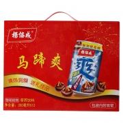 杨协成 马蹄爽 荸荠果汁果肉饮料 300ml*12听 礼盒装